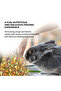 Premium Rabbit Food - 1 Kg - 4