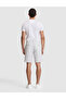 Gray Slim Fit Seersucker Woven Shorts 50309644-Vr024 - 5