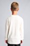 Regular Fit Crew Neck Knitwear Ecru Sweater for Boys A4992A825Wn - 5