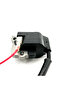 Gasolene Brush Cutter Parts Ignition Coil for Grass Cutter Engine GX35 - 3
