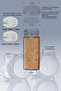 6-Piece Glass Spice Rack Set – with Plexi Stand, White Label, and Silver Lid |   Drawer and Countertop Spice Rack Set - 6