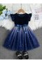 Girls Embellished Ruffle Sleeve Mesh Dress with Bow Detail