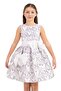 33182Pr Lila Dress - 4