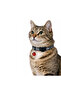 Patterned Cat Collar – Recycled Yarn, Safe Lock System, Comfortable Use, Si - 5