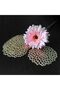 Silk Route - Coasters, Gold Flowers Hollow PVC Coaster Cup Mats Ornament Decorations for Home Festival 6pcs - 6