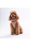 Red Heart Embroline T-Shirt Cat Dog Tee-Cat Dog Outfit - 3