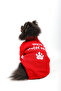 Red Limited Basıc Kazak Kırmızı - 3