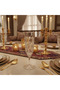 Crystal-Cut Acrylic Champagne Flute | 250 ml | Footed Stem Glass - 4