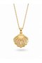 316L Steel Chain Gold Color Zircon Stone Pearl Detail Oyster Necklace