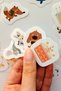 Cute Animals Birthday 25 Piece Sticker Pack Waterproof Laptop Thermos Phone Sticker Set - 4