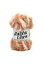 Rabbit Ultra Knitting Yarn Sunset Glow 100% Polyester 100g 65m (T051)