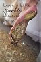 Alayra Leave A Little Life Changing Printed Quotes wall Posters for Home Decoration 5 MM thick Forex - 2