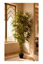 Bamboo 160 cm (5.2 ft) Tall Artificial Tree with Pot - Green