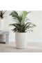 Novato Polyresin Planter 35.5x35.5x46cm - Cream