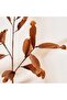 Yulan Leaves Artificial Stem H101cm - Brown - 2