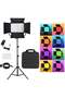 LIVE P24 RGB Panel Fill Light Adjustable Color & Brightness - 2