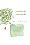 Premium Tea Tree Soap – Pore and Sebum Balancing Intensive Care Complex 120 g