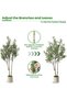 122cm Artificial Potted Olive Tree, Double Trunk Realistic Faux Olive Plant with Natural Trunk & Plump Fruits, Indoor Decor for Living Room Office Home Decor - 4