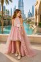 Short Front, Long Back Detachable Skirt, Half High Collar, Tulle Dress with Brooch Flower Detail, 8-12 Years Old, Special Occasion, Birthday