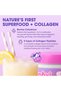 Collagen Peptide Colostrum Powder | Multi-Collagen Peptide with Grass-Fed Bovine Colostrum | Supports Gut Health, Immune, Skin & Hair | Gluten-Free, Keto-Friendly | Lemon Sorbet, 30 - 4