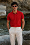 Men's 100% Cotton Standard Fit Polo Collar Basic T-Shirt