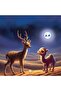 Ragdan and the Moon – an Arabic Story for Children about Anger, Changing Perspectives, and Aiming to Develop Children's Problem-Solving Skills. For Ages 6 to 12 |   A Story of Moral Education. - 4