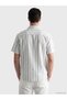 Vizyon New Season Green Standard Fit Striped Men's Shirt - 3