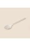 Nature 6-Pack Teaspoon - Platinum - 3
