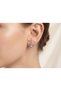 Elegant Crystal Leaf Stud Earrings – Fashion Earrings for Women