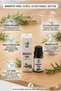 Rosemary Oil 10 ml (Rosemary Oil) - Hair Growth & Hair Root Strengthening, Pore Tightening Oil - 4