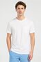 Men Slim Fit Short Sleeve Training T-Shirt, White