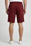 Men Embroidered Logo Basic Shorts, Maroon - 4