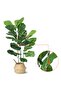 Artificial Tree,3-Stem Fiddle Leaf Banyan Tree (100cm h) - Easy-Assembly Faux Banyan Plant with Woven Planter, Lifelike Leaves, Zero-Maintenance Decor for Home & Office - 4