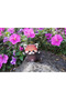 Panda Roșu Eugy. Puzzle 3D. - 7
