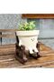 This smiley face-shaped flowerpot is a small and adorable resin planter, for planting plants such as string of pearls. It's for both indoo - 2