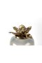 Coffee Translucent Glass Lotus Gold Lid Cube 59X28Cm - 2
