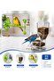 New Generation Smart Bird Feeder and Bird Toy with Bell Green