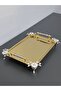 Figured, Metal Handle, Stainless Steel Rectangular Tray Luxury Presentation Tray North Gold-Silver