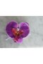 Purple Orchid & Pearl Detailed Hair Clip - 2