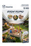 Sand Pool Sand Natural Quartz Sand - 4