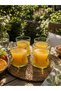 Set of 4 Stylish Glass Soft Drink Glasses 340 Cc - 2
