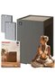 Purificator de aer FP-S40EU-T - 2