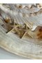 Steel Zircon Stone Starfish Earrings - 3