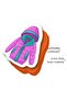 Puedo Pack Your Bag Educational Velcro Game for Ages 3+ Season Matching Suitcase Game 36 Pieces - 6