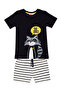 Raccoon Boy's T-shirt Shorts Set - 3