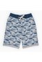 Wave Pattern Boys' Shorts