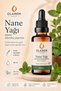 Peppermint Oil (Mentha Piperita) Intense Essential Oil 30 ml Glass Bottle with Dropper - 3