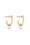 Women's Earrings Small Basket Model Hanging Pearl Earrings