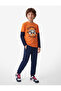 Long Sleeve Cotton Crew Neck Printed T-Shirt