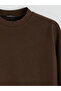 Lcw Everyday Brown Crew Neck Oversize Women's T-Shirt - 6